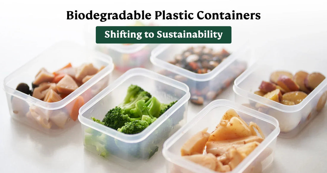biodegradable plastic container