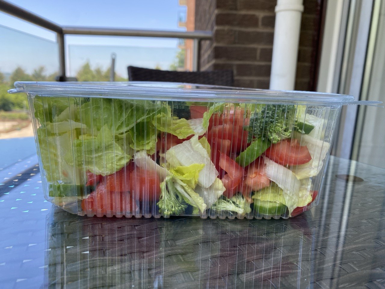 Rectangular Hinged Container( 4 Sizes)