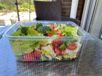 Rectangular Hinged Container( 4 Sizes)