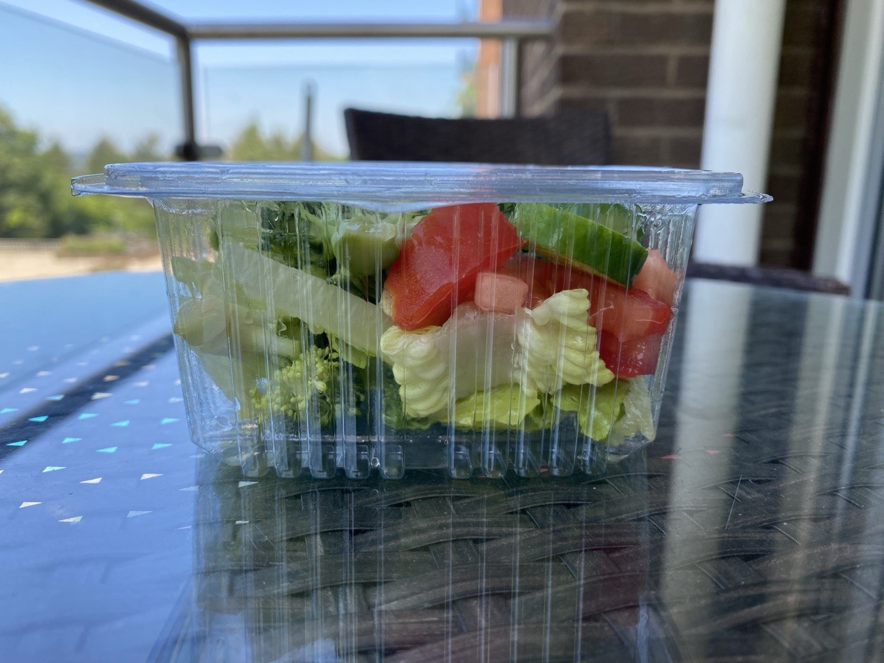 Square Hinged Container( 4 Sizes)