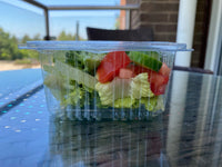Square Hinged Container( 4 Sizes)