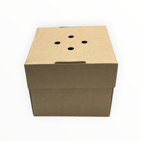 Corrugated Gourmet Burger Box FreshPack Solutions Ltd