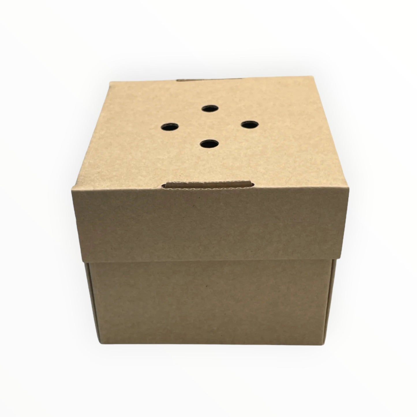 Corrugated Gourmet Burger Box