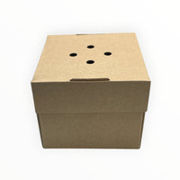 Corrugated Gourmet Burger Box